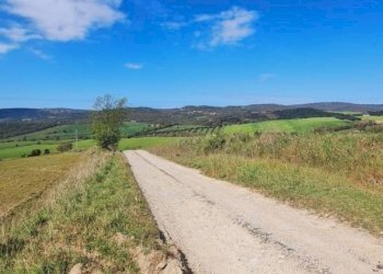 Terreno - Terreno agricolo Podere Ai della Colonna, Roccalbegna - foto 10