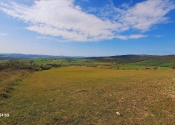 Terreno - Terreno agricolo Podere Ai della Colonna, Roccalbegna - foto 11