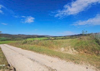 Terreno - Terreno agricolo Podere Ai della Colonna, Roccalbegna - foto 12