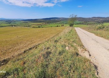 Terreno - Terreno agricolo Podere Ai della Colonna, Roccalbegna - foto 13