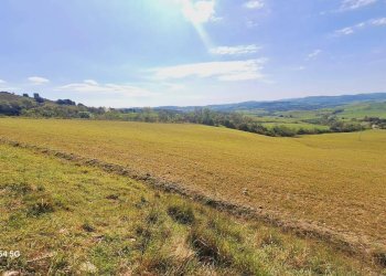 Terreno - Terreno agricolo Podere Ai della Colonna, Roccalbegna - foto 14
