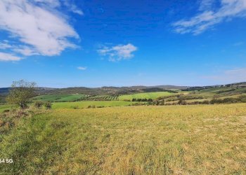 Terreno - Terreno agricolo Podere Ai della Colonna, Roccalbegna - foto 16