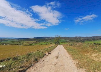 Terreno - Terreno agricolo Podere Ai della Colonna, Roccalbegna - foto 18