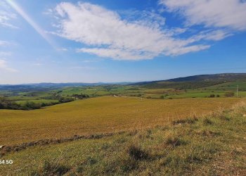 Terreno - Terreno agricolo Podere Ai della Colonna, Roccalbegna - foto 19