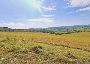 Terreno - Terreno agricolo Podere Ai della Colonna, Roccalbegna - foto 20