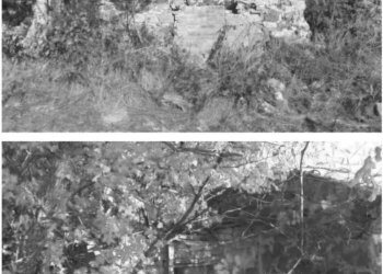 Terreno - Terreno agricolo Podere Ai della Colonna, Roccalbegna - foto 21