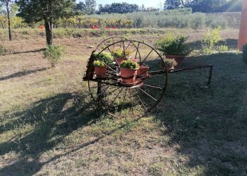 Casale SP112, Manciano - photo 12