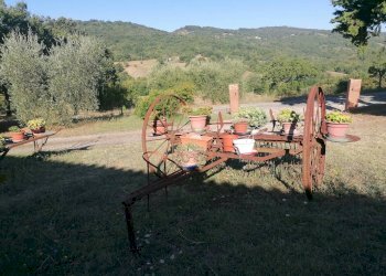 Casale SP112, Manciano - photo 13