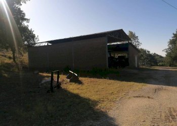 Casale SP112, Manciano - photo 14