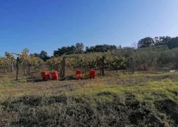 Casale SP112, Manciano - photo 20