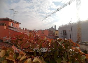 Terrazzo - Appartamento Via del Pratello 31, Bologna (zona San Felice) - foto 4