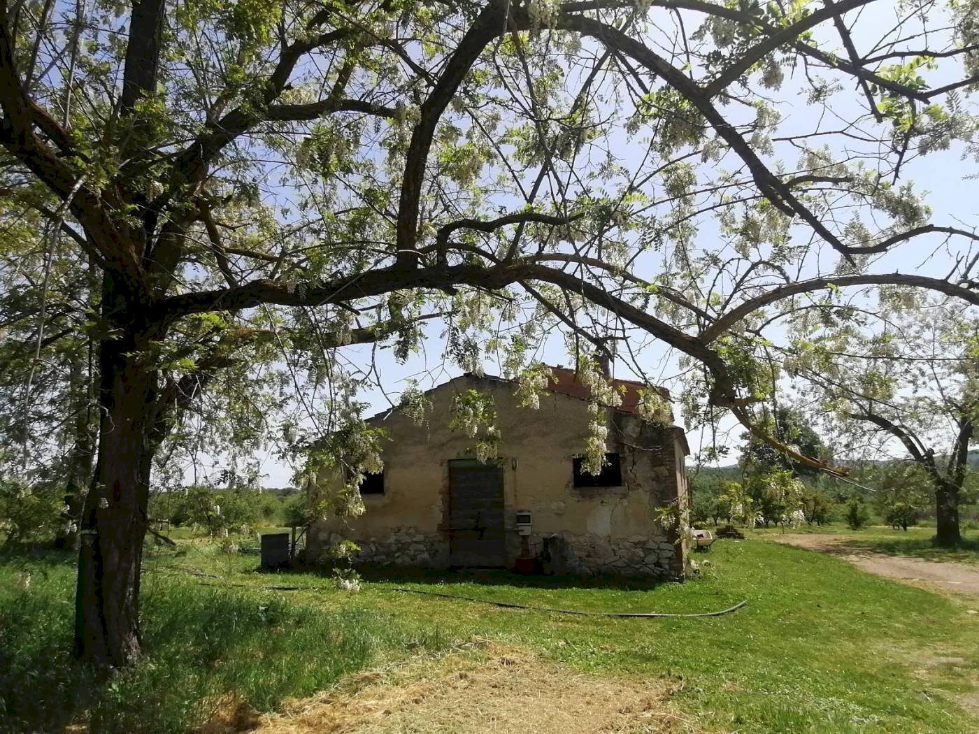 Terreno - Casale SR74, Manciano - photo 2