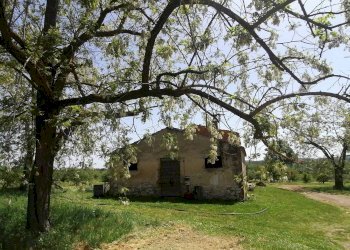Terreno - Casale SR74, Manciano - photo 2