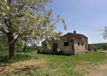 Terreno - Casale SR74, Manciano - photo 5