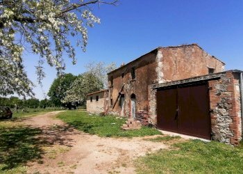 Terreno - Casale SR74, Manciano - photo 7