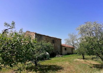 Terreno - Casale SR74, Manciano - photo 12