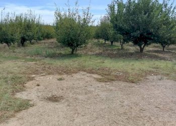 Terreno - Casale SR74, Manciano - photo 18