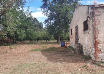 Terreno - Casale SR74, Manciano - photo 25