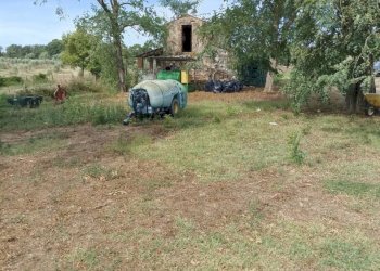 Terreno - Casale SR74, Manciano - photo 30