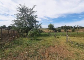 Terreno - Casale SR74, Manciano - photo 31