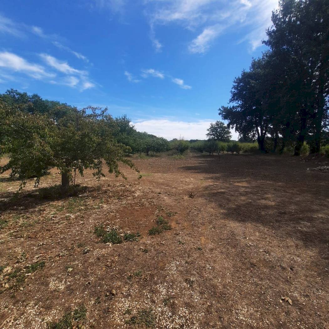 Terreno - Villa Unifamiliare Strada Provinciale Campigliola, Manciano - foto 2