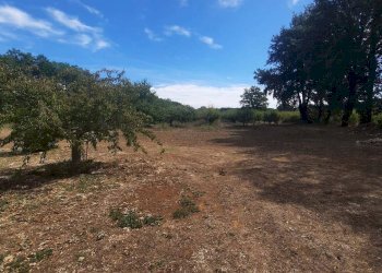 Terreno - Single Family Villa Strada Provinciale Campigliola, Manciano - photo 2