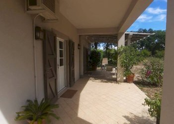 Giardino - Single Family Villa Strada Provinciale Campigliola, Manciano - photo 6