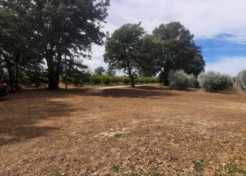 Terreno - Single Family Villa Strada Provinciale Campigliola, Manciano - photo 10