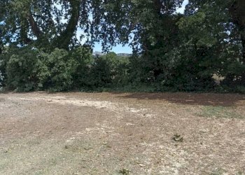 Terreno - Single Family Villa Strada Provinciale Campigliola, Manciano - photo 26