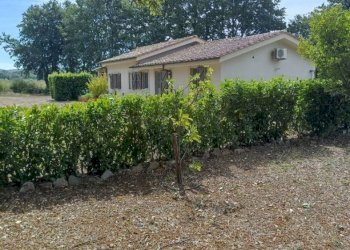 Giardino - Single Family Villa Strada Provinciale Campigliola, Manciano - photo 27