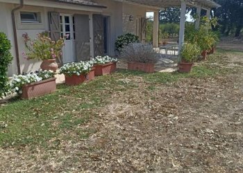 Giardino - Single Family Villa Strada Provinciale Campigliola, Manciano - photo 28