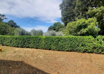 Terreno - Single Family Villa Strada Provinciale Campigliola, Manciano - photo 32