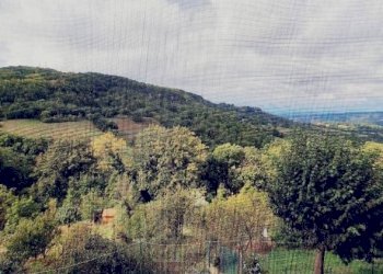 Vista - Appartamento Vicolo Giuseppe Mazzini 3, Semproniano - foto 20