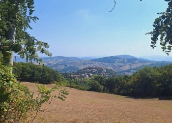 Terreno - Stabile - Palazzo Via Roma 17, Monte Grimano Terme - foto 40