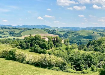 Vista - Rustico Via Casale 7, Pianoro - foto 42
