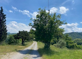 Terreno - Rustico Via Casale 7, Pianoro - foto 43