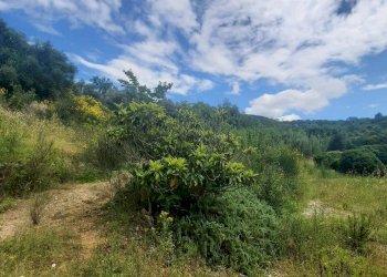 Townhouse Strada Provinciale di Fibbianello, Semproniano - photo 53