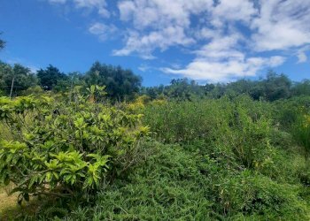 Townhouse Strada Provinciale di Fibbianello, Semproniano - photo 54