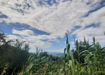 Townhouse Strada Provinciale di Fibbianello, Semproniano - photo 57