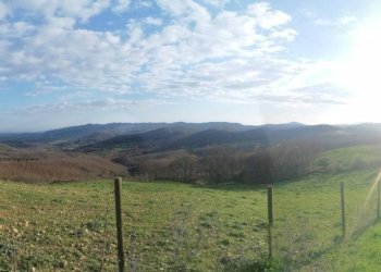 Terreno - Casale Strada Regionale Maremmana, Manciano - foto 3