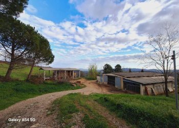 Terreno - Casale Strada Regionale Maremmana, Manciano - foto 7