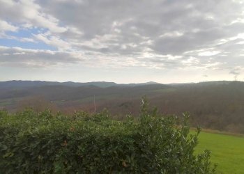 Vista - Casale Strada Regionale Maremmana, Manciano - foto 12