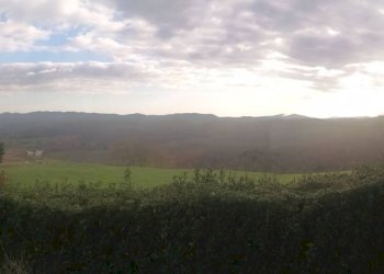 Vista - Casale Strada Regionale Maremmana, Manciano - foto 13