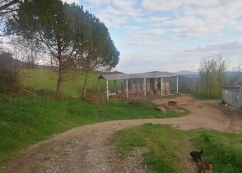 Terreno - Casale Strada Regionale Maremmana, Manciano - foto 15