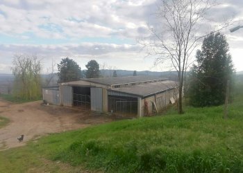 Terreno - Casale Strada Regionale Maremmana, Manciano - foto 16