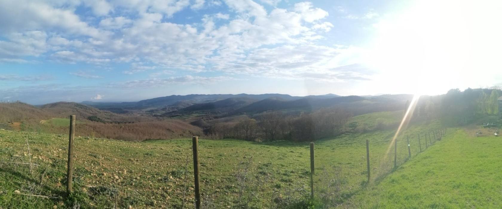 Terreno - Agricultural land Strada Regionale Maremmana, Manciano - photo 2