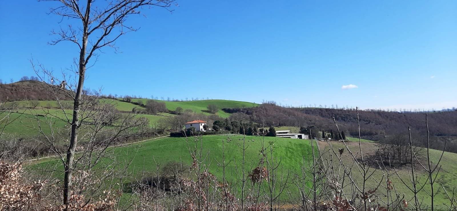 Terreno - Agricultural land Strada Regionale Maremmana, Manciano - photo 3