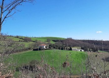 Terreno - Terreno agricolo Strada Regionale Maremmana, Manciano - foto 3
