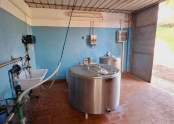 Bagno - Terreno agricolo Strada Regionale Maremmana, Manciano - foto 14