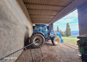 Terreno - Terreno agricolo Strada Regionale Maremmana, Manciano - foto 15